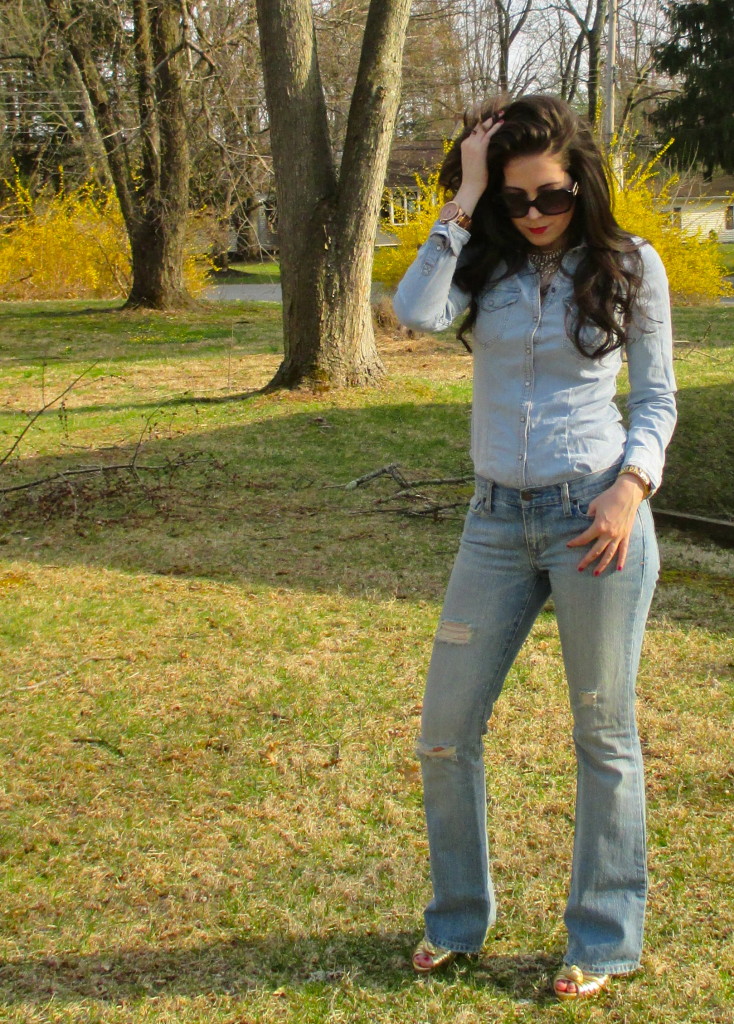 Canadian Tuxedo