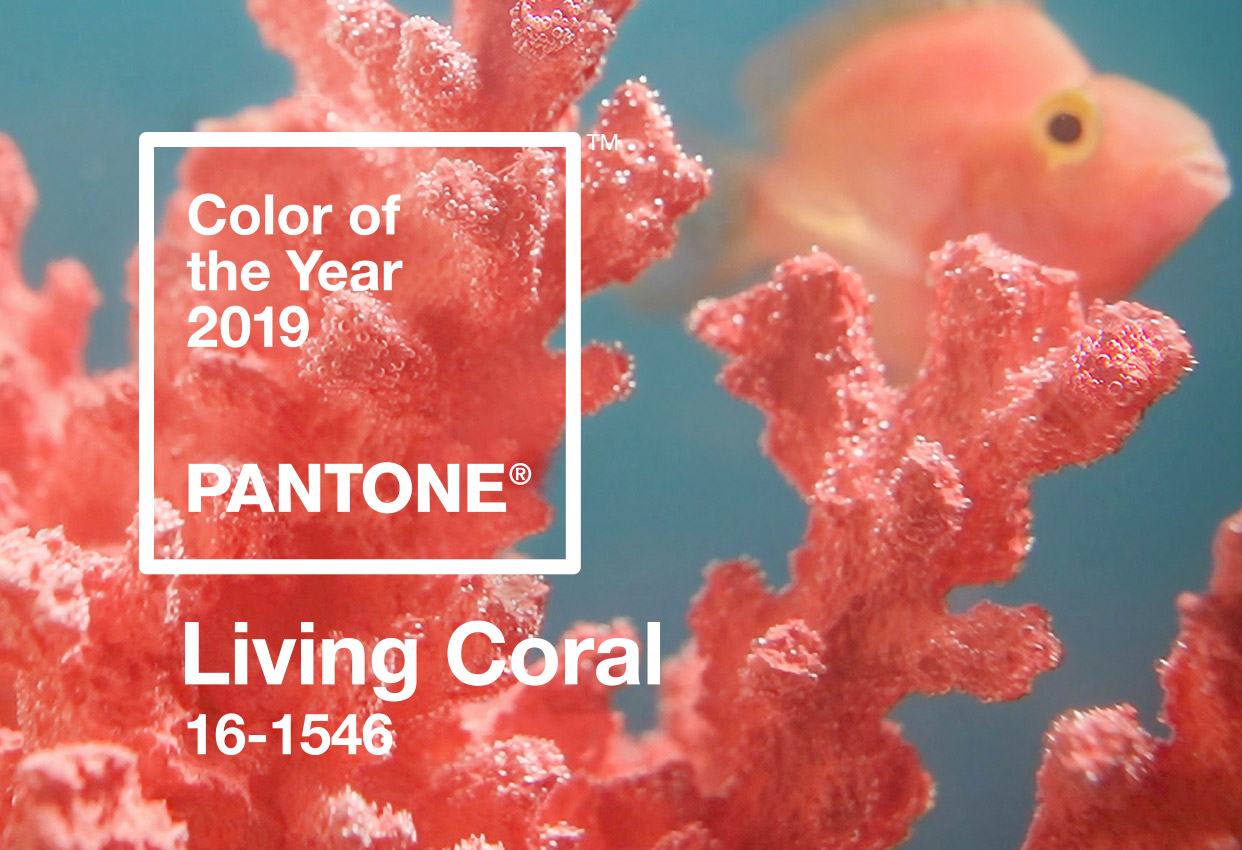 pantone color of the year